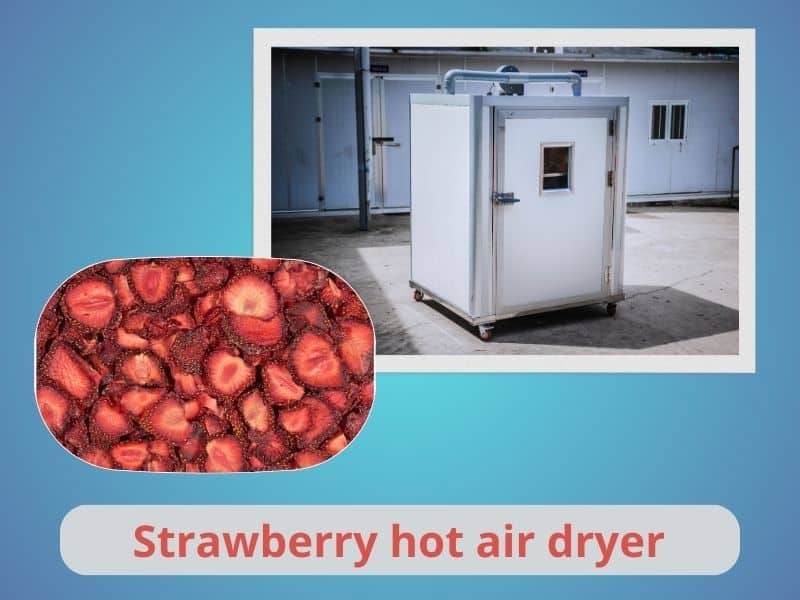 strawberry-hot-air-dryer
